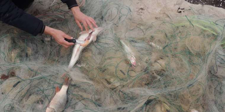 Карантин уақытында заңсыз балық аулаушылар көбейіп кеткен