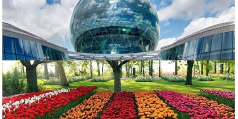 ЭКСПО тендері: гүл өсіруге 48 миллион
