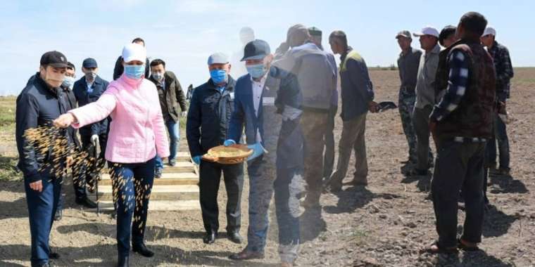 Әкім ханым дән еккенімен, диқандар су таппай жатыр