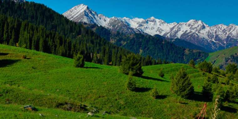 Алатаудың бөктерін офшорда жүрген кәсіпкер алыпты