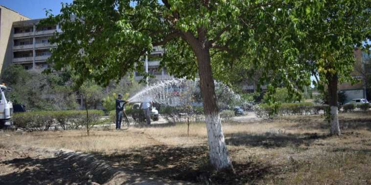 Ағаш суғара алмайтын маңғыстаулық әкімнің қызметі өсті