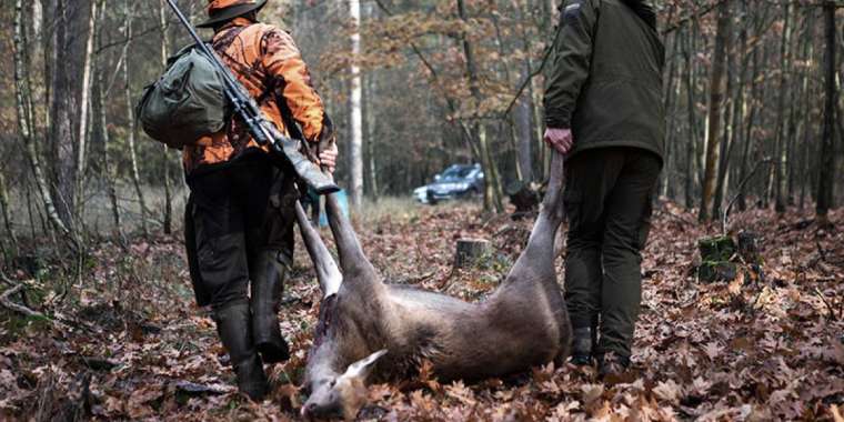 Биыл браконьерлер көп