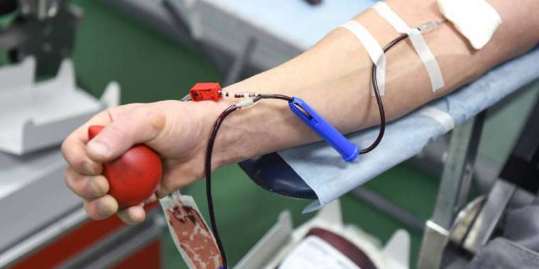 Адам өміріне араша түсу - үлкен қайрымдылық