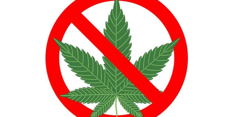 «Қарасора» операциясы қалай өтіп жатыр?