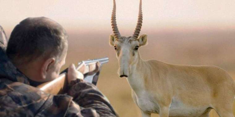 Жануарларды қорғайтын инспектордың өзі браконьер