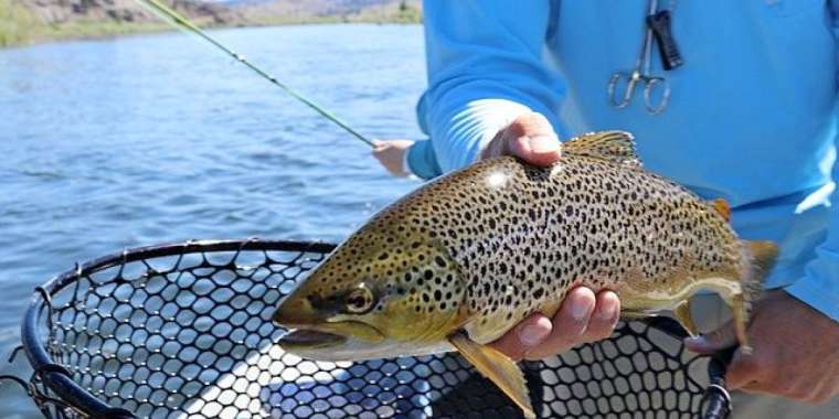 Балық барымтасымен күрес