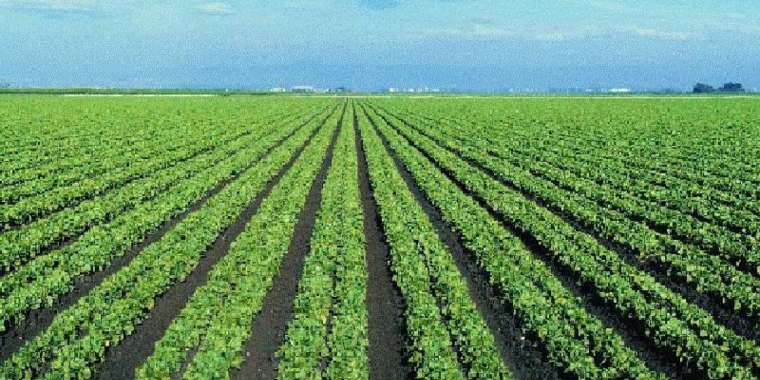 Былтыр ауыл шаруашылығы алға жылжыпты