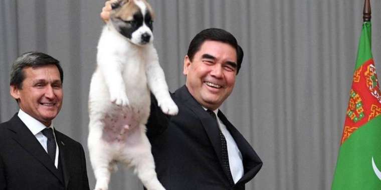 Иттердің сұлулық конкурсы. «Алабайдан шыққан жыл батыры»