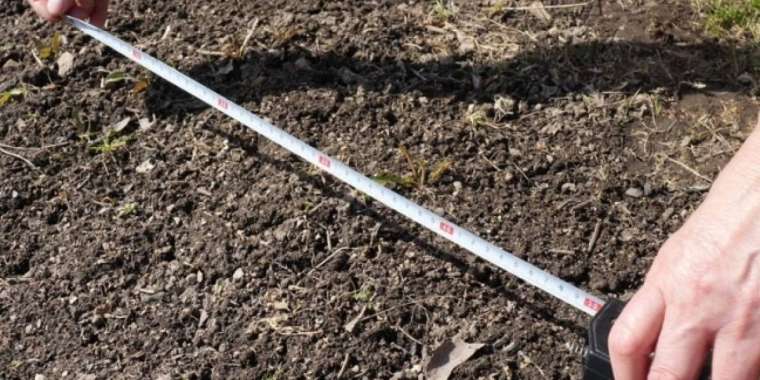 Жер реформасы – жауапты міндет