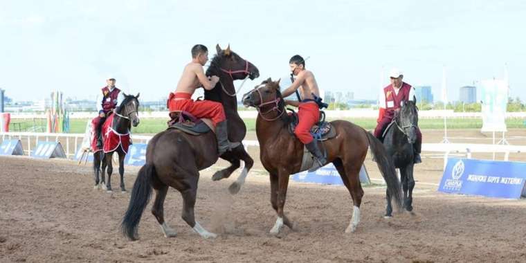Ұлттық спорт түрлері мектептен басталуға тиіс