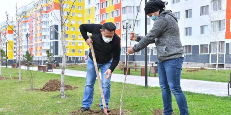 Науырыз мерекесі көшет егумен басталды