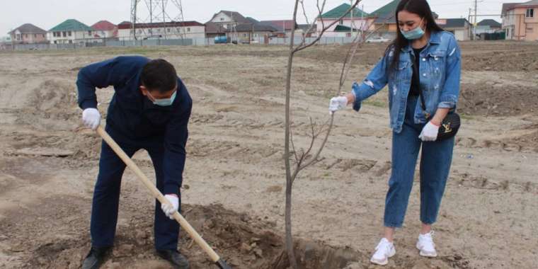 Көгалдандыру акциясы өтті