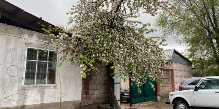 Қордай қақтығысы: Қираған үй жаңарды, ал көңілдегі жара жазылды ма?