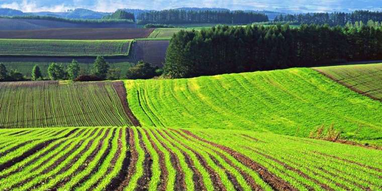 Қытай зерттеушілері: Орталық Азия елдері суды ысырап етіп, жерді тиімсіз пайдаланып отыр