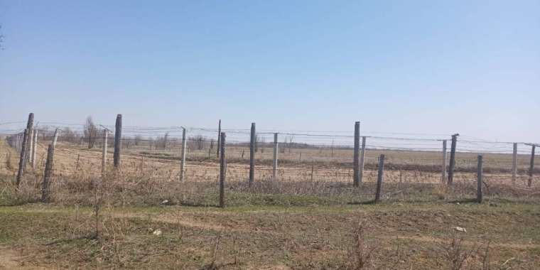 Ахметовтен үміт үзгендер Тоқаевқа хат жолдады