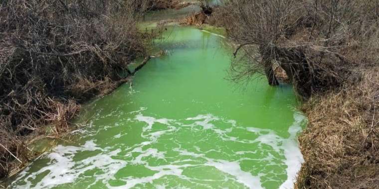 Шығыс Қазақстандағы өзен жасыл түске боялды (видео)