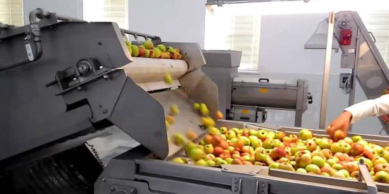 Жеміс-көкөністі қайта өңдейтін екі кәсіпорын ашылады