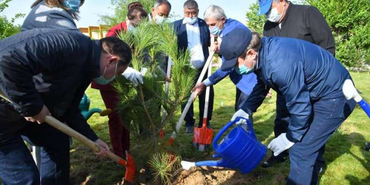 Шымкентте «жасыл қала» акциясы өтті