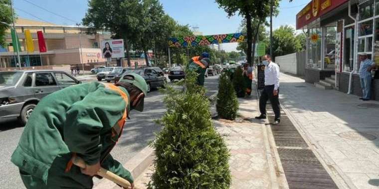 Шымкент шырайланып келеді