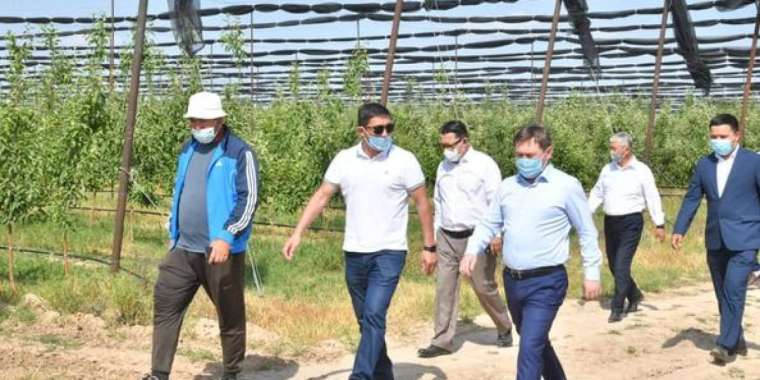 Алтынтөбедегі бау-бақша