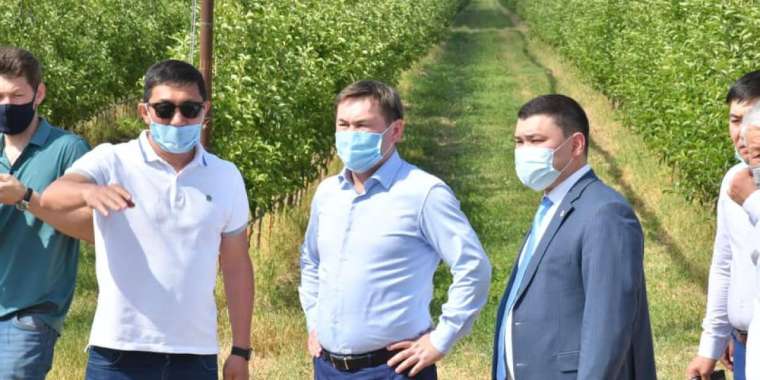 САДОВОДСТВО В АЛТЫНТОБЕ