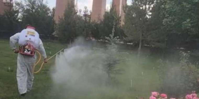 Шымкентте 4 миллион шаршы метр аумақ дезинсекциланды