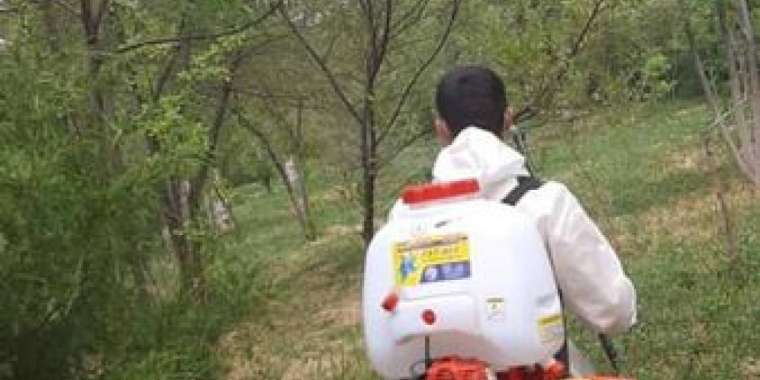  В Шымкенте будет обработано около 4 миллионов квадратных метров территории города