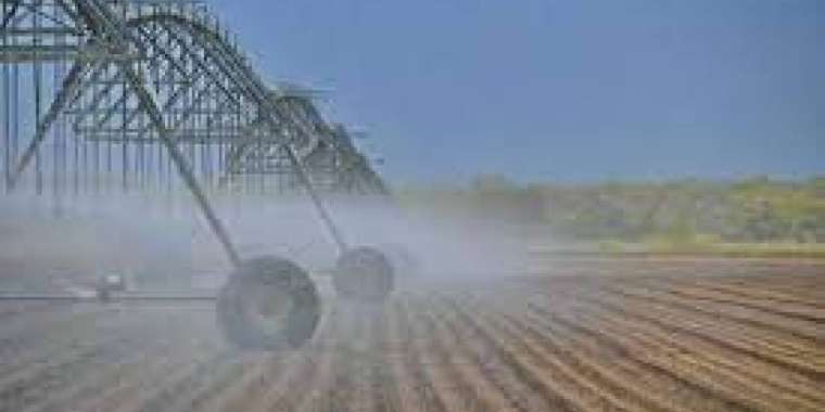 Павлодарлықтар пайдаланылмай жатқан жерлерді игеріп жатыр