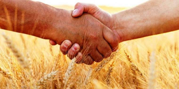 АӨК пен импорттық алмастыру бойынша 285 жоба іске асады