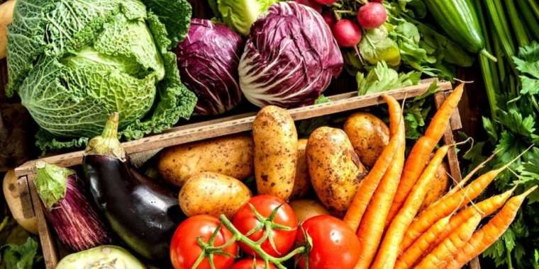 Еуразиялық одақ және көкөніс экспорты