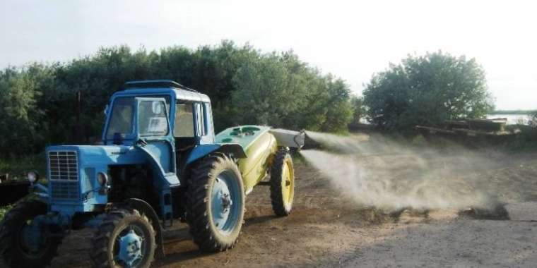 Егістікті сақтау: Шегірткемен күрес тоқтамайды