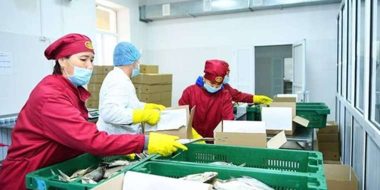 В Шымкенте функционирует 161 предприятие пищевой промышленности