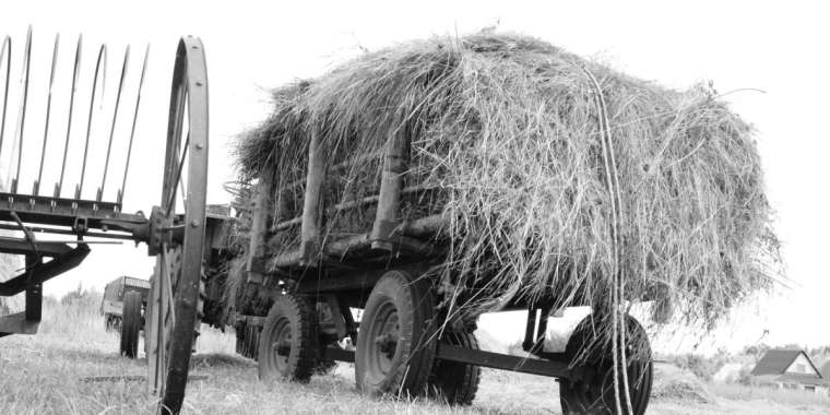 Кеңшілік Мырзабек. Шалғында (әңгіме)