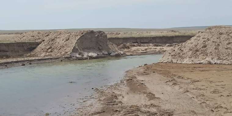 Бақанас, қайда барасың?..