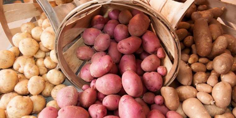 Картоп бағасы аналарды митингіге алып шықты