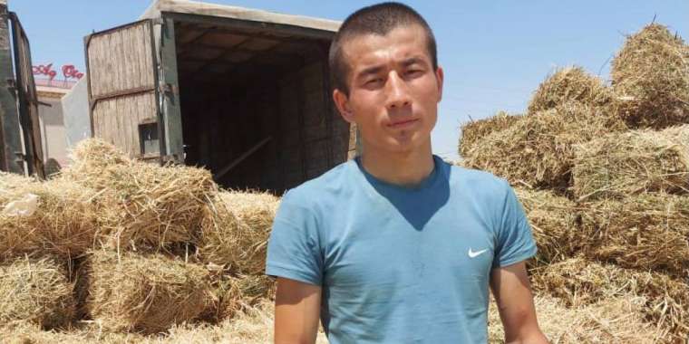 «Маңғыстауда мал қырылып жатқанда, Шымкентте пайда тауып жата алмадым»