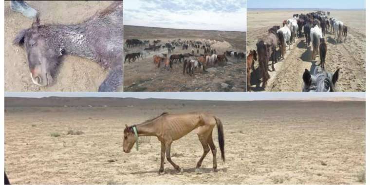 Шілдеде бірқатар облыста қуаңшылық болады