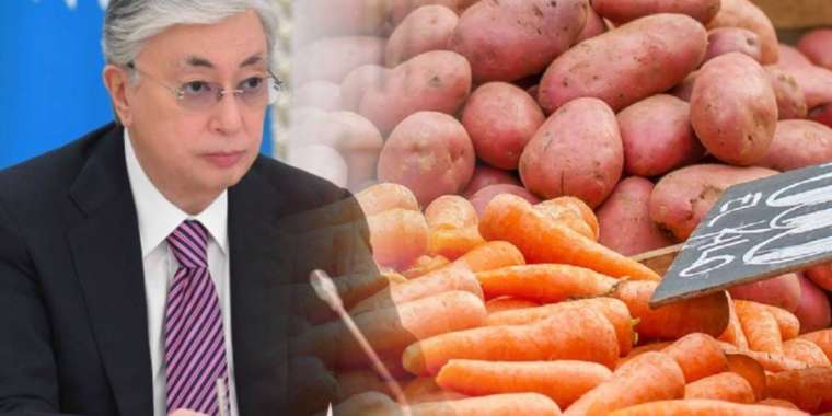 Тоқаев көкөністер неге қымбаттағанын айтты