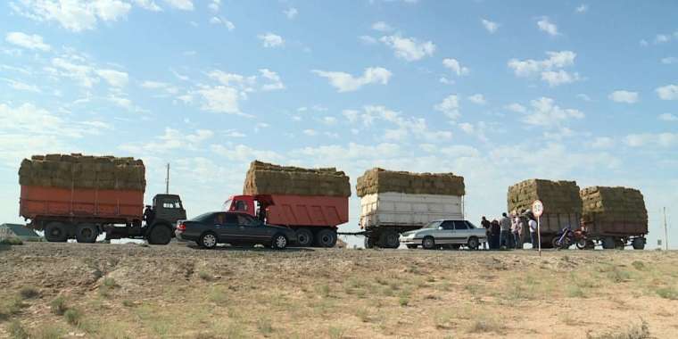 Арал ауданында төтенше жағдай жарияланды