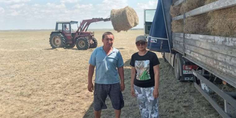 Төрт баланың анасы Балнұр Ермекбаева Маңғыстауға жем-шөп жіберуді ұйымдастырып жүр