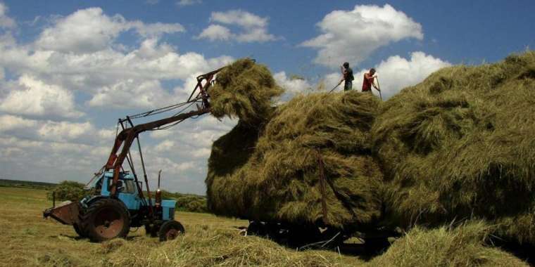 Үкімет шөп шабуға 43,6 мың тонна дизель отынын бөлмек