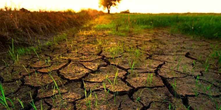 Құрғақшылықтан зардап шеккен аймақтарға жаңа мүмкіндіктер беріледі