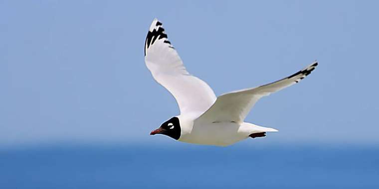 Ермек Қаныкейұлы. Алакөлдегі демалыс: өң мен түс-2