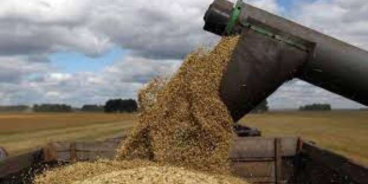 Биыл да астық экспорттаймыз