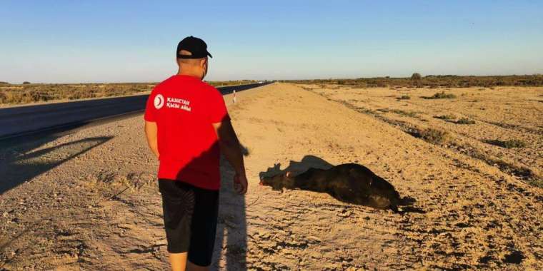 USAID Маңғыстауда қуаңшылықтан зардап шеккендерге көмек көрсетуде