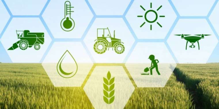 Ұлттық жоба: Агроөнеркәсіп саласы бес жылда қалай өзгереді?