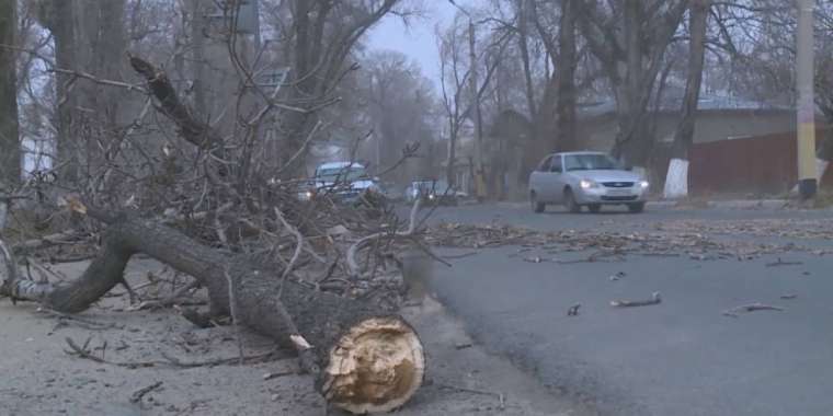 Жамбыл облысында болған дауыл салдарынан бір бала көз жұмды