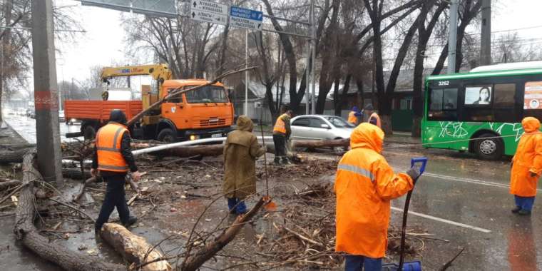 Апатты күнде құтқарушылар қалай жұмыс істеді?