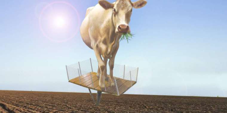 «Жайылымдық жер жоқ»: әкімнің ұлы, фермердің жиені және ауыл жұрты