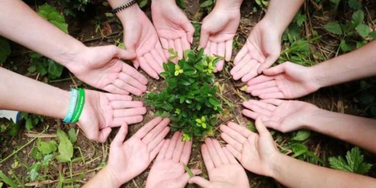 Эковолонтерлік: Cіз үшін ең жақсы 10 бағдарлама